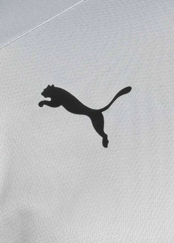 Лонгслів 700466-16 Puma V1.08 White логотип світло-сірий спортивні поліестер, трикотаж