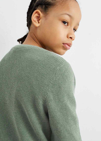 Сіро-зелений демісезонний джемпер джемпер C&A