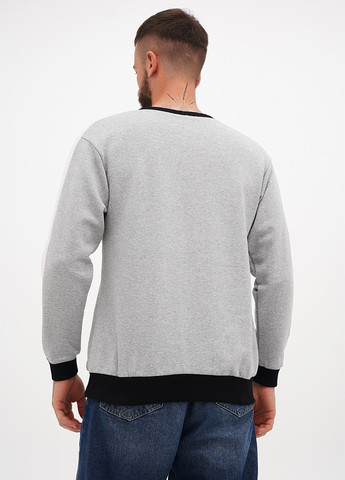 Сірий світшот напис лампаси (302949926)