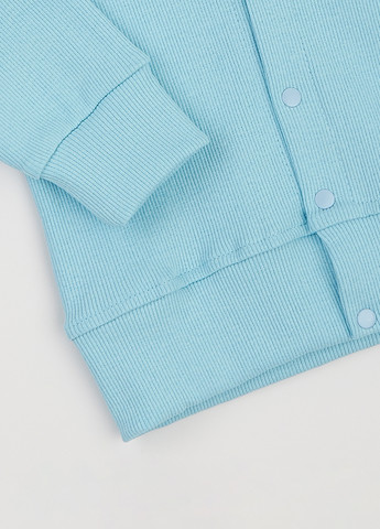 Костюм (толстовка, брюки) Flamingo (361966592)