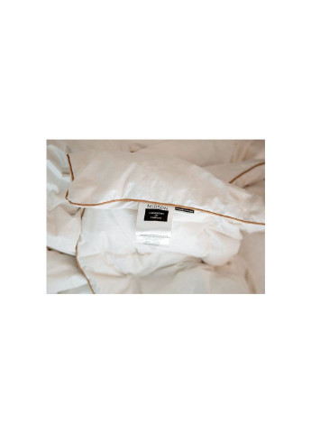 Одеяло MirSon пуховое Raffaello 061 деми 172х205 см (2200000075024) No Brand (254014791)