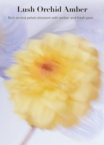 Набір Lush Orchid Amber (лосьон, міст), 236 мл/250 мл Victoria's Secret (289787233)