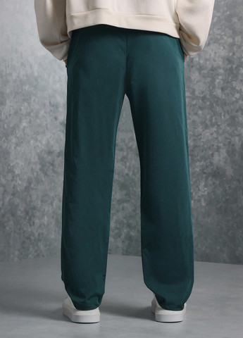 Штани SHEIN (341251106)