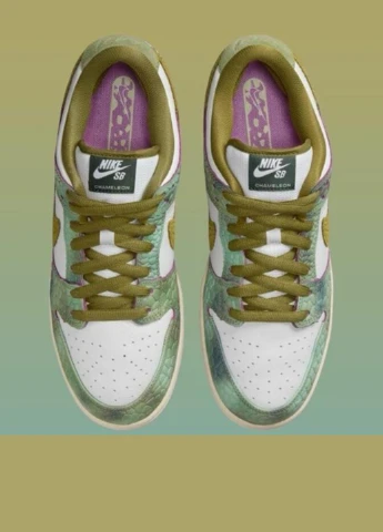 Цветные демисезонные кроссовки hj3386-300 Nike SB Dunk Low Releases