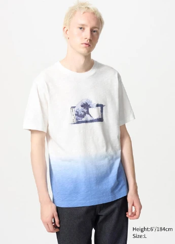 Футболка Uniqlo (353745807)
