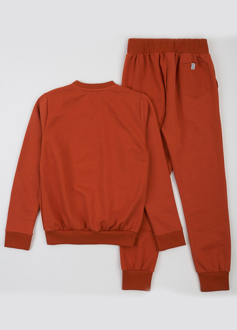 Костюм (світшот, штани) ArDoMi (363452064)