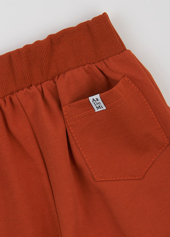 Костюм (світшот, штани) ArDoMi (363452064)