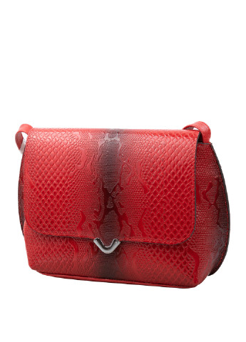 Жіноча шкіряна сумка-рідікюль 22х18х8 см Desisan (253027658)