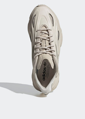 Бежевые демисезонные кроссовки gz5231_2024 adidas OZWEEGO Celox