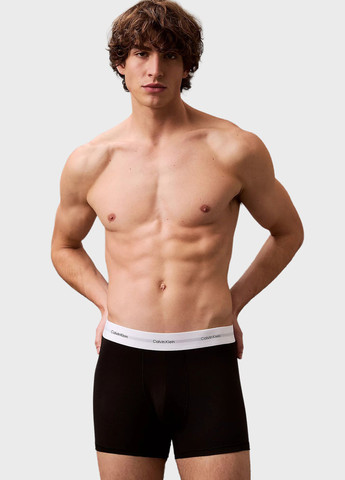 Трусы (3 шт.) Calvin Klein (366438739)