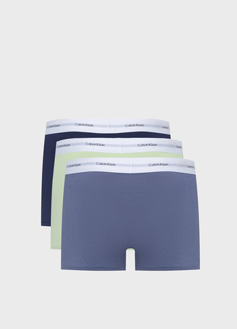 Трусы (3 шт.) Calvin Klein (366438739)