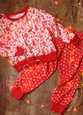 Красный демисезонный костюм (свитшот, брюки) брючный ArDoMi