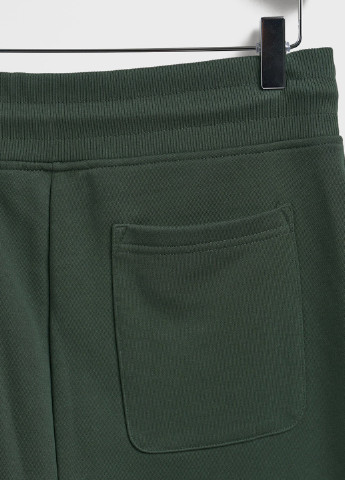 Темно-зеленые спортивные демисезонные джоггеры брюки Gant