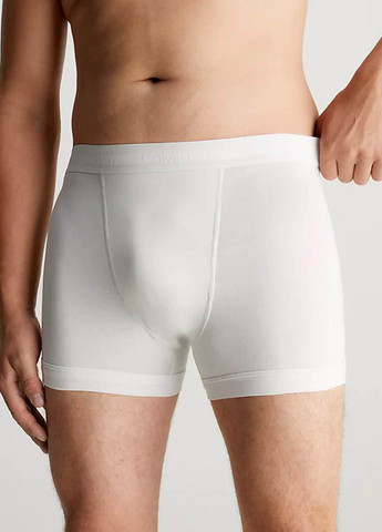 Трусы (3 шт.) Calvin Klein Underwear (329047407)