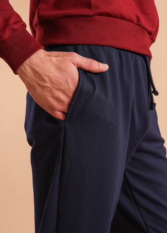 Темно-синие спортивные демисезонные джоггеры брюки BBL