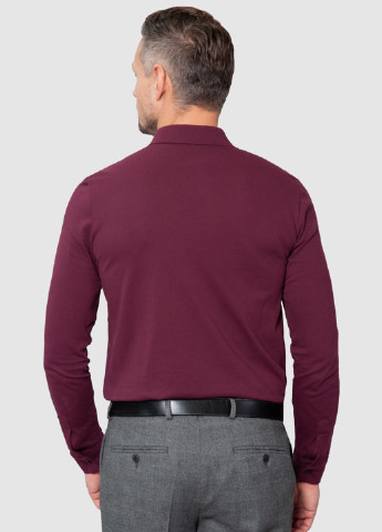Бордовая футболка-поло для мужчин Arber однотонная