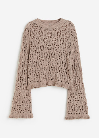 Темно-бежевий демісезонний джемпер джемпер H&M