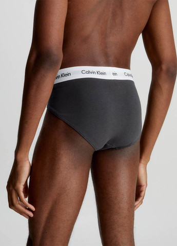 Труси (3 шт.) Calvin Klein Underwear (329039429)