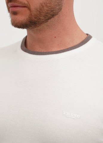 Белый демисезонный джемпер джемпер Trend Collection