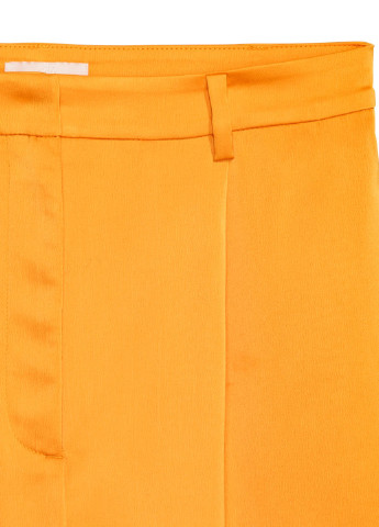 Шорты H&M (119387246)