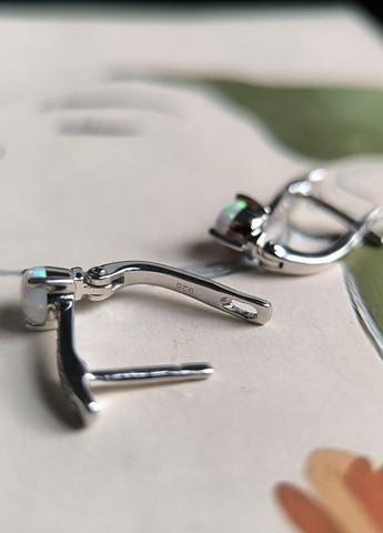 Сережки Silver Flame (369649348)