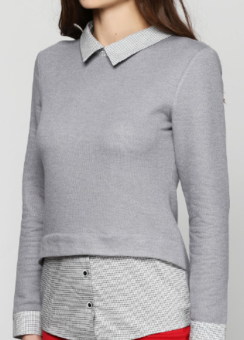 Світло-сірий демісезонний светр джемпер Alvina