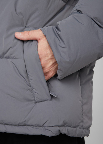 Сірий зимній Пуховик PRPY