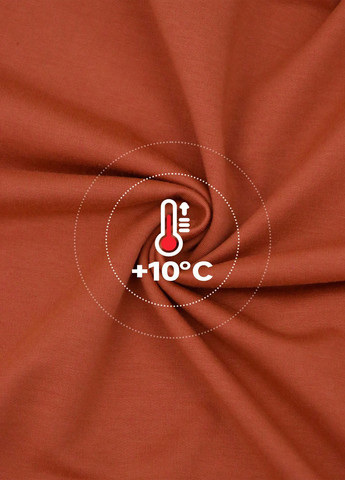 Терракотовый свитшот SHEIN рисунок без декора (323965869)