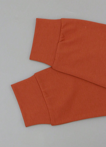 Терракотовый свитшот SHEIN рисунок без декора (323965869)