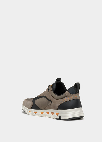 Темно-бежеві Осінні кросівки Geox