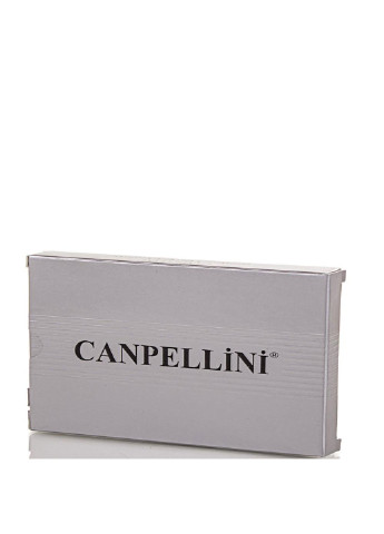 Женский кожаный кошелек 19х10х2,5 см Canpellini (195547291)