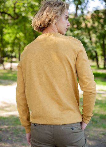 Гірчичний демісезонний світерп пуловер Ager
