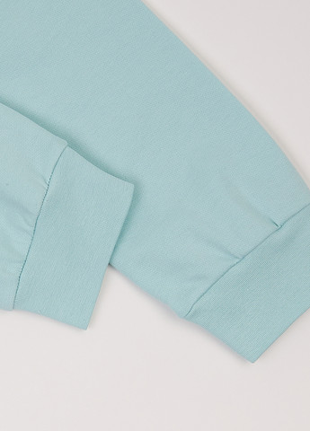 Комбинированная зимняя пижама (свитшот, брюки) Фламинго