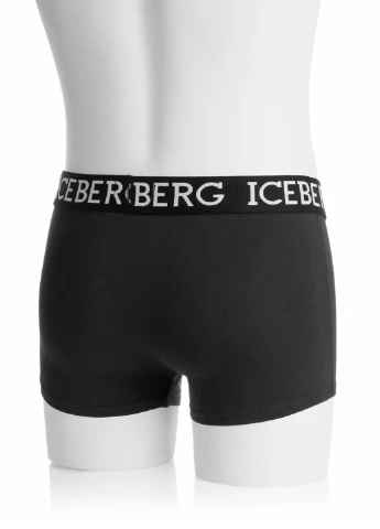 Чоловічі труси боксери 2 шт. Iceberg (251973833)