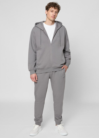 Серые спортивные демисезонные джоггеры брюки PRPY