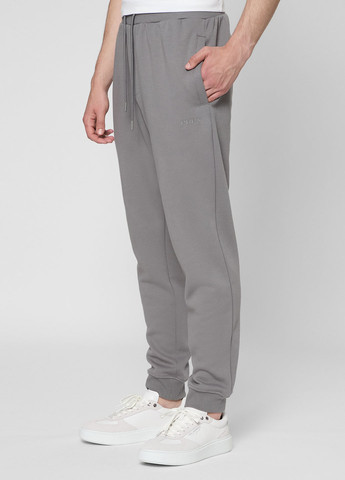 Серые спортивные демисезонные джоггеры брюки PRPY