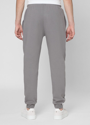 Серые спортивные демисезонные джоггеры брюки PRPY