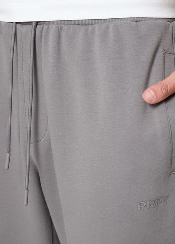 Серые спортивные демисезонные джоггеры брюки PRPY