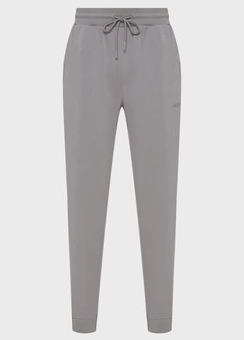 Серые спортивные демисезонные джоггеры брюки PRPY