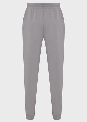 Серые спортивные демисезонные джоггеры брюки PRPY