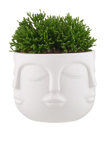 Горщик для квітів, 13 см Butlers (301106157)