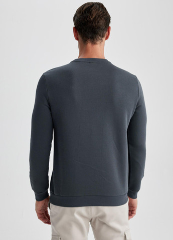 Сірий світшот DeFacto однотонний без декору (299028385)