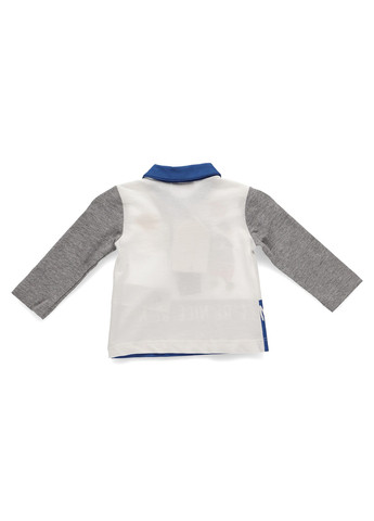 Разноцветный демисезонный кэжуал лонгслив Chicco с рисунком