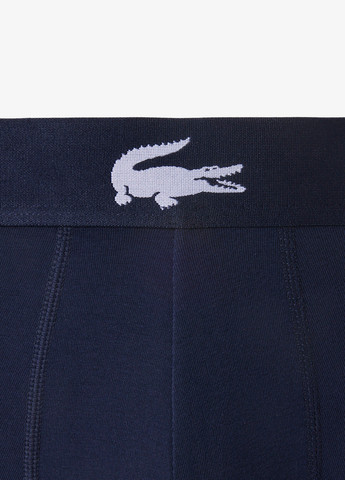 Труси (3шт.) Lacoste (348516914)