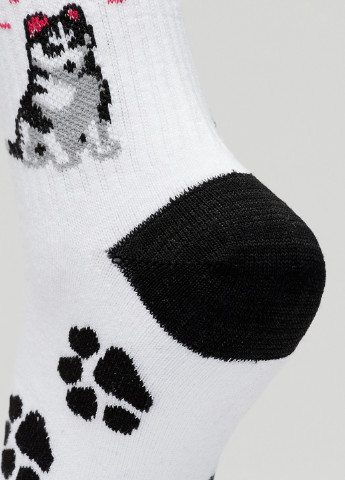Носки Хаски Rock'n'socks (192307987)