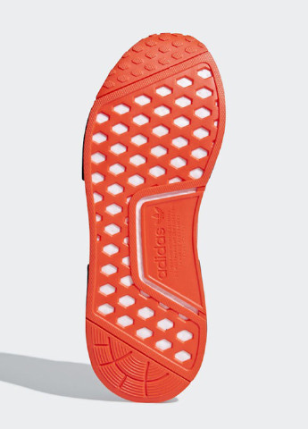 Серые всесезонные кроссовки adidas NMD_R1
