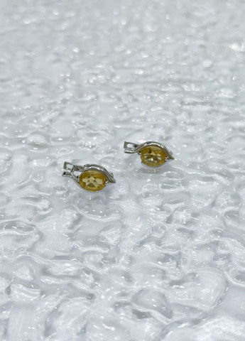 Сережки Silver Flame (307258178)