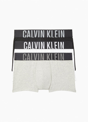 Труси (3 шт.) Calvin Klein (259878234)