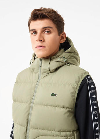 Жилет Lacoste (329694498)
