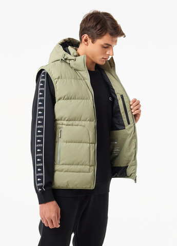 Жилет Lacoste (329694498)